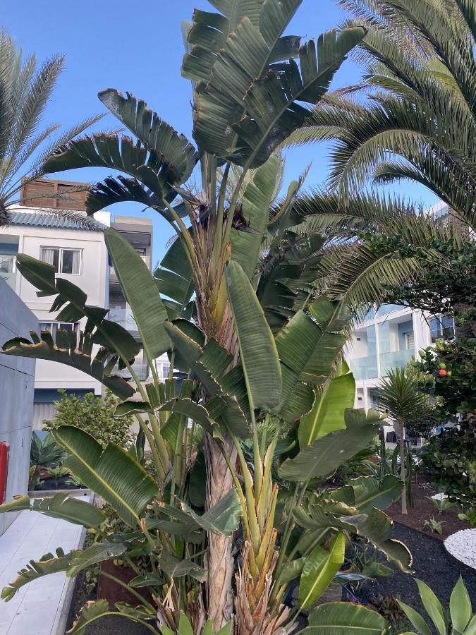 Sun And Surf Stay Corralejo Bagian luar foto
