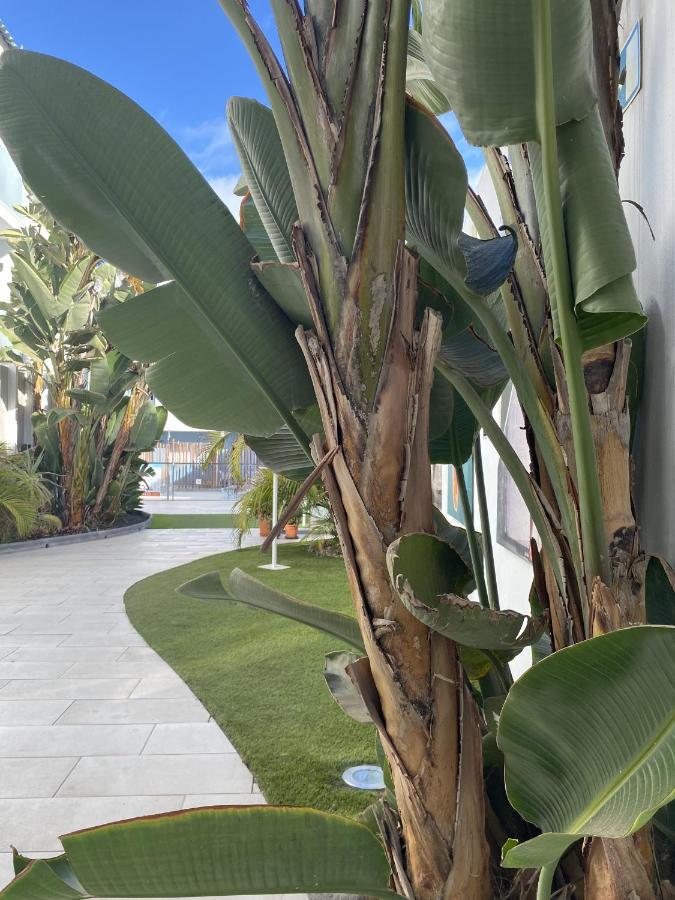 Sun And Surf Stay Corralejo Bagian luar foto
