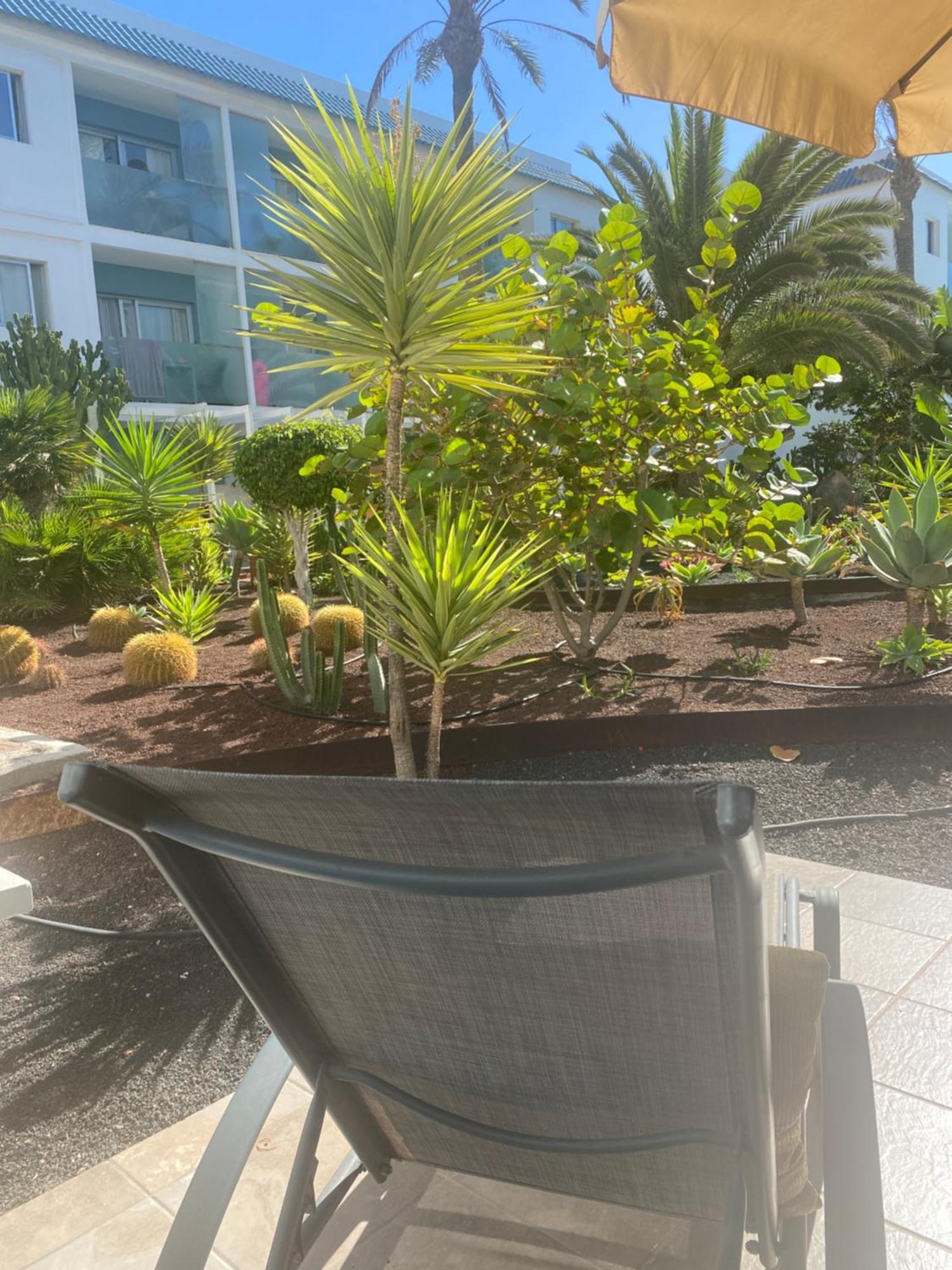 Sun And Surf Stay Corralejo Bagian luar foto